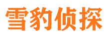 珙县侦探公司